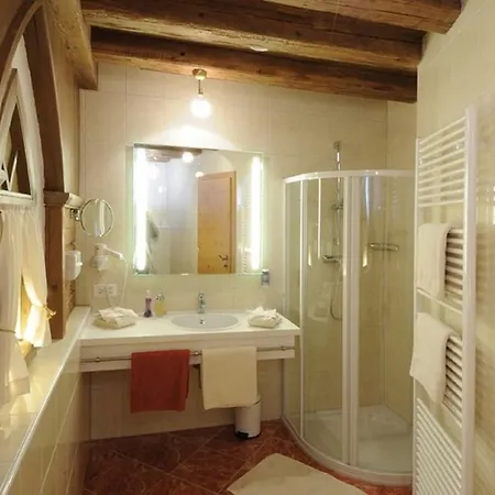 Hotel Camona & Walserhof 3*